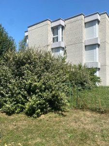 Photo de galerie - Chantier de taille 