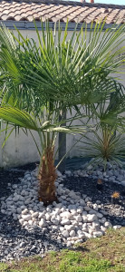 Photo de galerie - Massifs paysagers