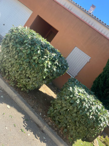 Photo de galerie -  taille