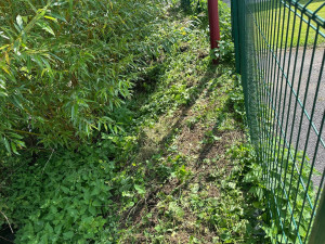 Photo de galerie - Jardinage débroussailler 