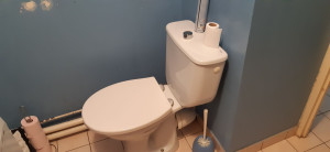 Photo de galerie - Installation d'un nouvel abattant de WC et réparation de la chasse d'eau 