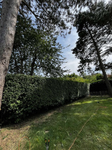 Photo de galerie - Jardinage 