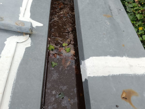 Photo de galerie - Nettoyage 