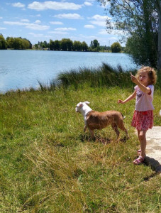 Photo de galerie - Garde chien