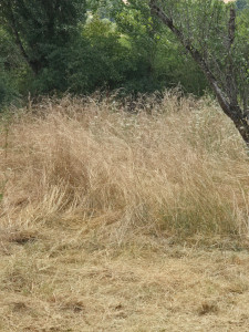 Photo de galerie - Friche 