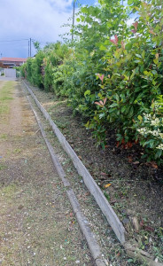 Photo de galerie - Débroussaillage après 