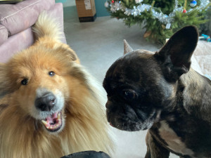 Photo de galerie - Mon bouboule d'amour avec un copain