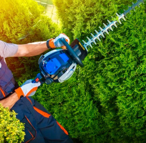 Photo de galerie - Taille de haies pour un rendu net et droit.