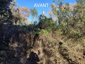 Photo de galerie - Tonte de pelouse - Débroussaillage