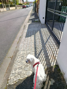 Photo de galerie - Une garde ponctuelle pour le petit Mozart :)