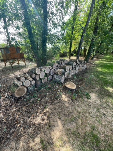 Photo de galerie - Elagage et coupe d'arbres