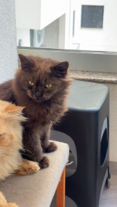 Photo de galerie - ?