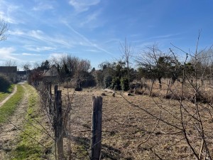 Photo de galerie - Paysagiste - Aménagement du jardin