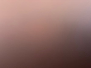 Photo de galerie - O 