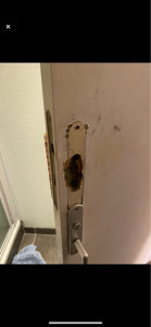 Photo de galerie - Porte, serrure et poignet 