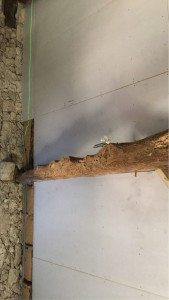 Photo de galerie - Plâtrerie - Murs - Plafonds