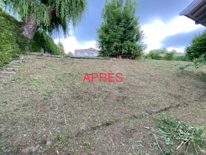 Photo de galerie - Débroussaillage 