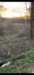 Photo de galerie - Coupe, billonage d arbres