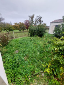 Photo de galerie - Tonte de pelouse - Débroussaillage