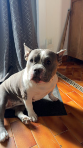 Photo de galerie - Visite chez Vickie 