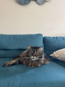 Photo de galerie - Inka 