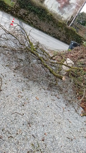 Photo de galerie - Très professionnel 