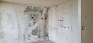 Photo de galerie - Peinture - Tapisserie