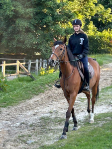 Photo de galerie - équitation 