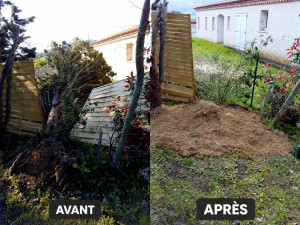 Photo de galerie - Intervention après la tempête  évacuation d'un cyprès 