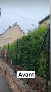 Photo de galerie - Taille de haies et d'arbustes