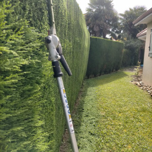 Photo de galerie - Toutes tailles 