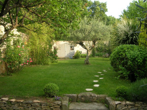 Photo de galerie - Tonte pelouse et taille arbustes