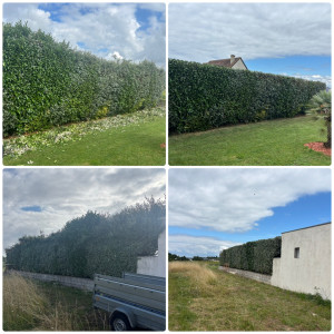 Photo de galerie - Taille de haie sur 2 faces et rabattage sur le dessus (4m50 à 3m)