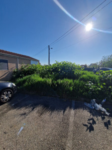 Photo de galerie - Gros debrousaillage