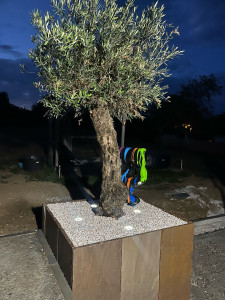 Photo de galerie - …