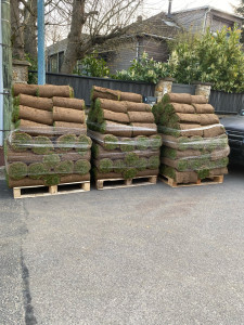 Photo de galerie - Réception de 200 rouleaux de gazon avant la pose.