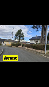 Photo de galerie - Elagage et coupe d'arbres