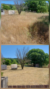 Photo de galerie - Débroussaillage d'un terrain de loisir