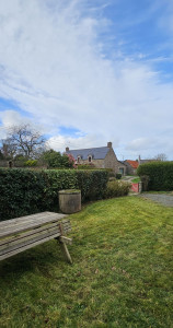 Photo de galerie - Taille de haies et d'arbustes