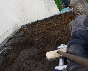 Photo de galerie - Couverture - Toiture