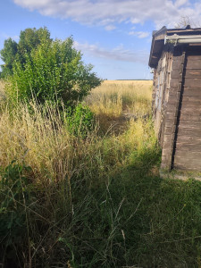 Photo de galerie - Tonte de pelouse - Débroussaillage