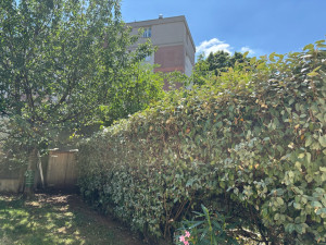 Photo de galerie - Taille de haies et d'arbustes