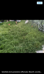 Photo de galerie - Tonte de pelouse - Débroussaillage