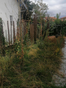 Photo de galerie - Tonte de pelouse - Débroussaillage