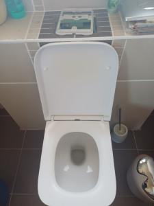 Photo de galerie - Changement de WC suspendu, changement de chasse d'eau.