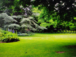 Photo de galerie - Paris jardin Luxembourg où j ai travaillé 