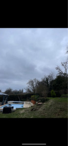 Photo de galerie - Elagage et coupe d'arbres