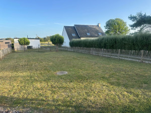 Photo de galerie - Tonte de pelouse - Débroussaillage