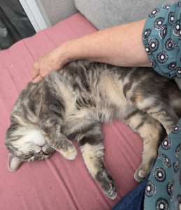 Photo de galerie - On est bien là louloute ;-)