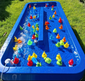 Photo de galerie - Véritable pêche aux canards dispo à la location.